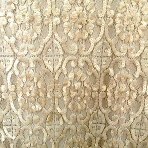 Limited edition sequin lace v-neck Express midi dress